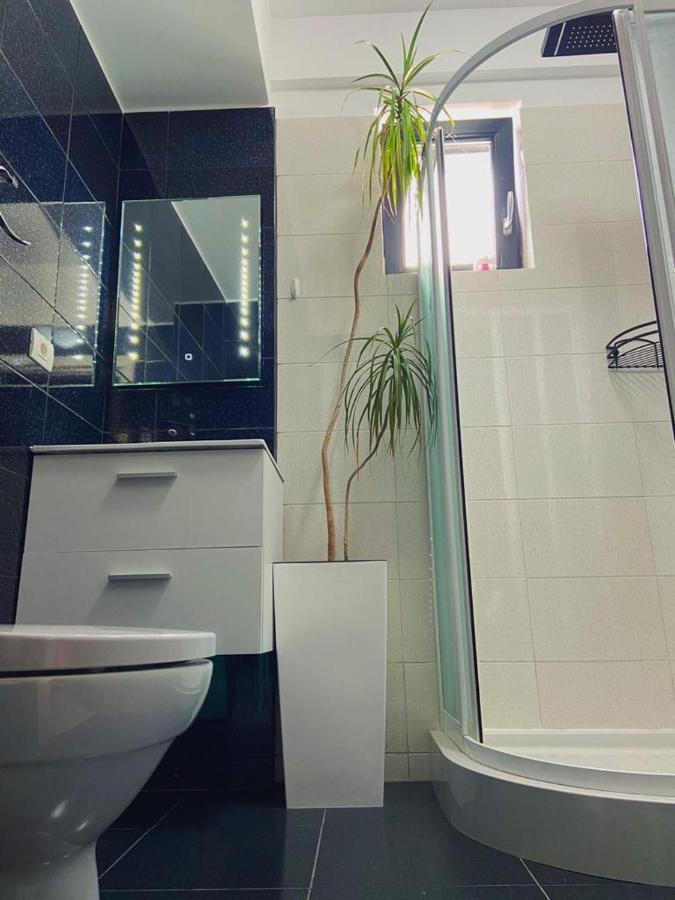 Peacock Apartament- Stefan Building Lägenhet Năvodari Exteriör bild